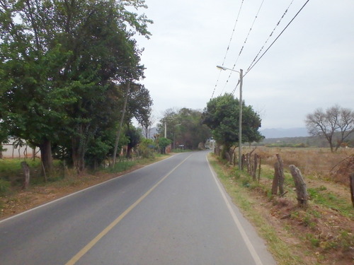 Nice rural view. Notice the Electricity Eating Moss.